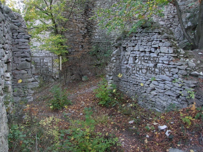 Identifikačná fotografia