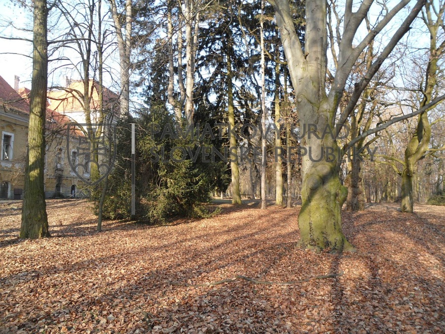 Identifikačná fotografia
