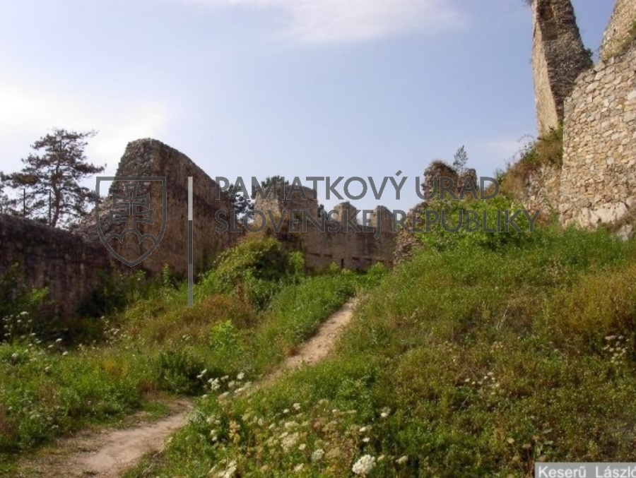 Identifikačná fotografia