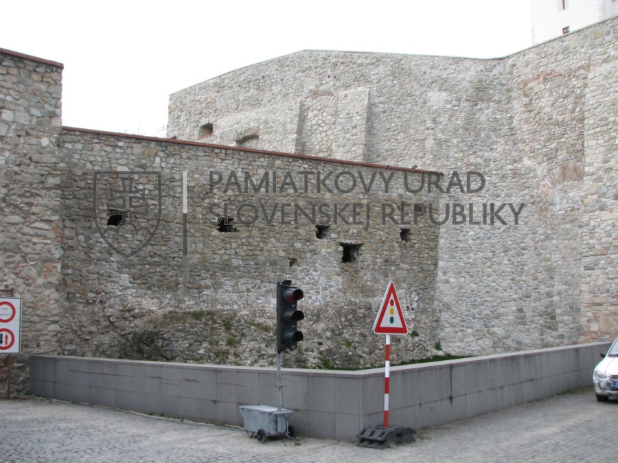 Identifikačná fotografia