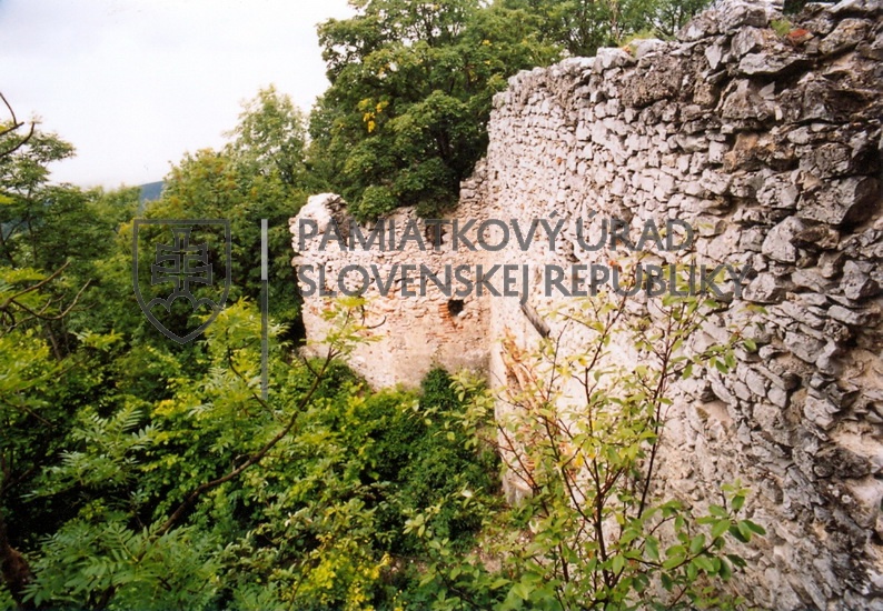 Identifikačná fotografia
