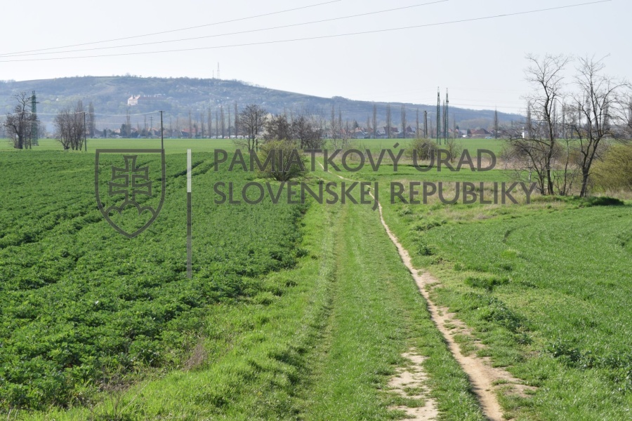 Identifikačná fotografia