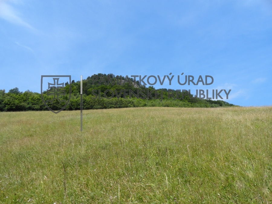 Identifikačná fotografia