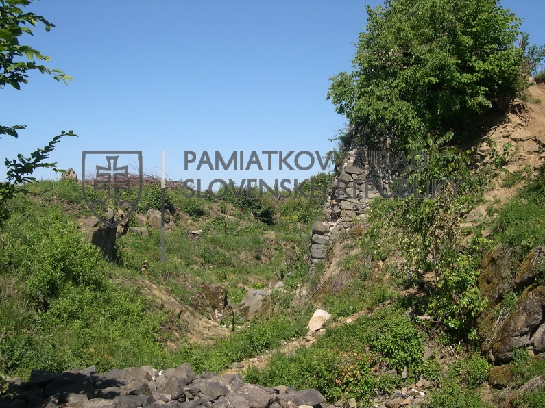 Identifikačná fotografia