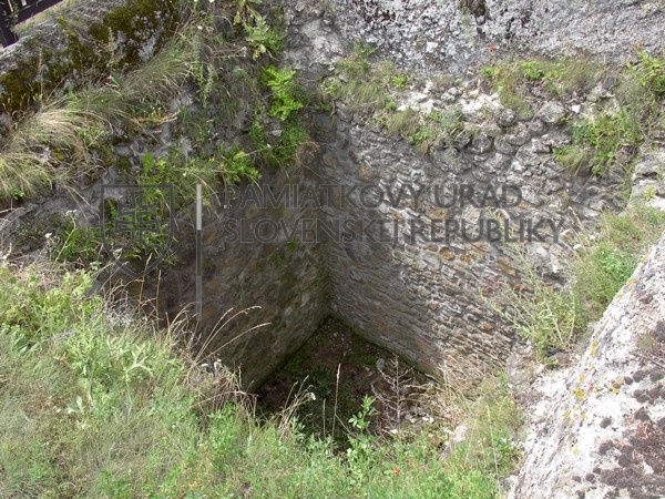 Identifikačná fotografia