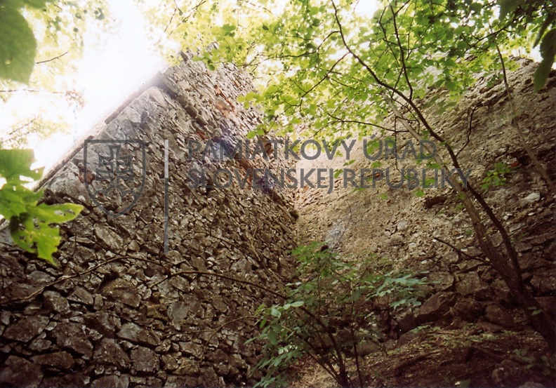 Identifikačná fotografia