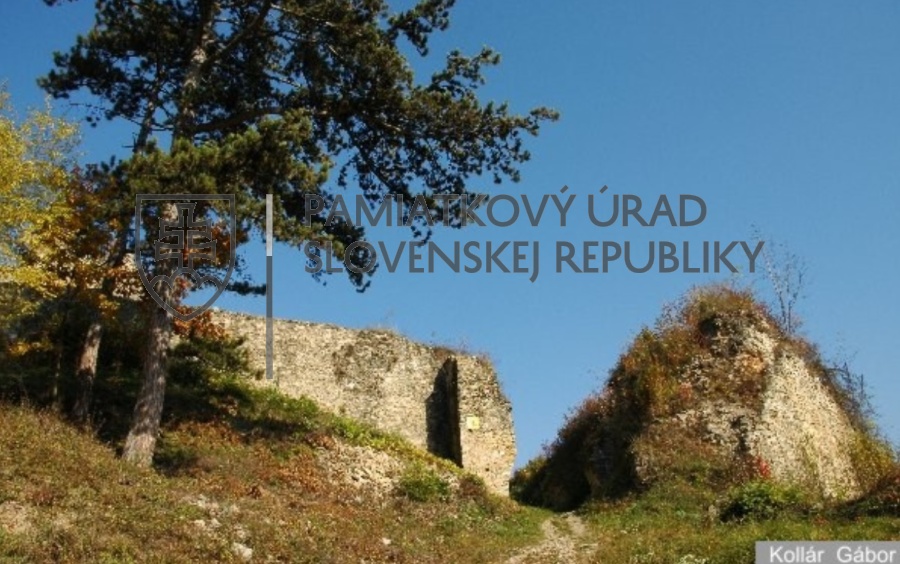 Identifikačná fotografia
