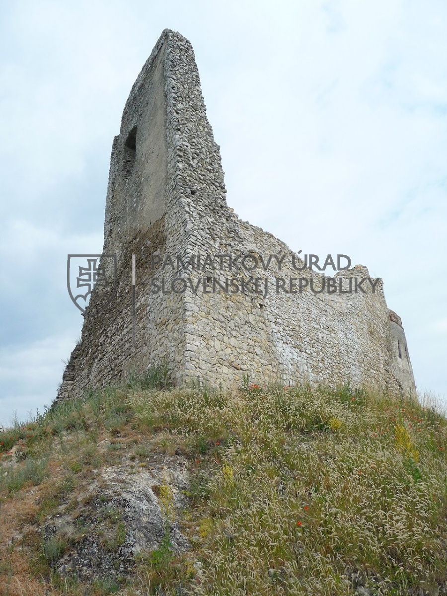 Identifikačná fotografia