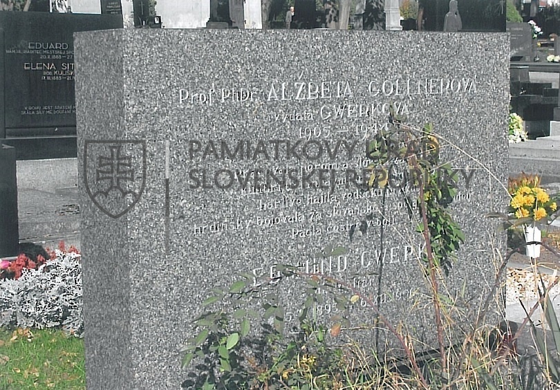 Identifikačná fotografia