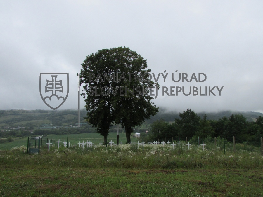 Identifikačná fotografia