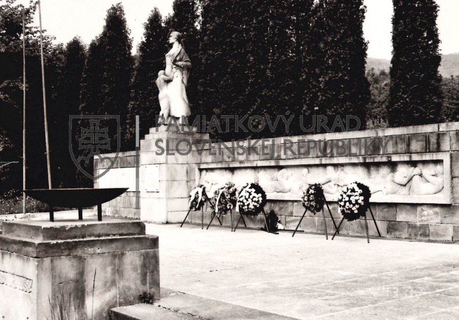 Identifikačná fotografia