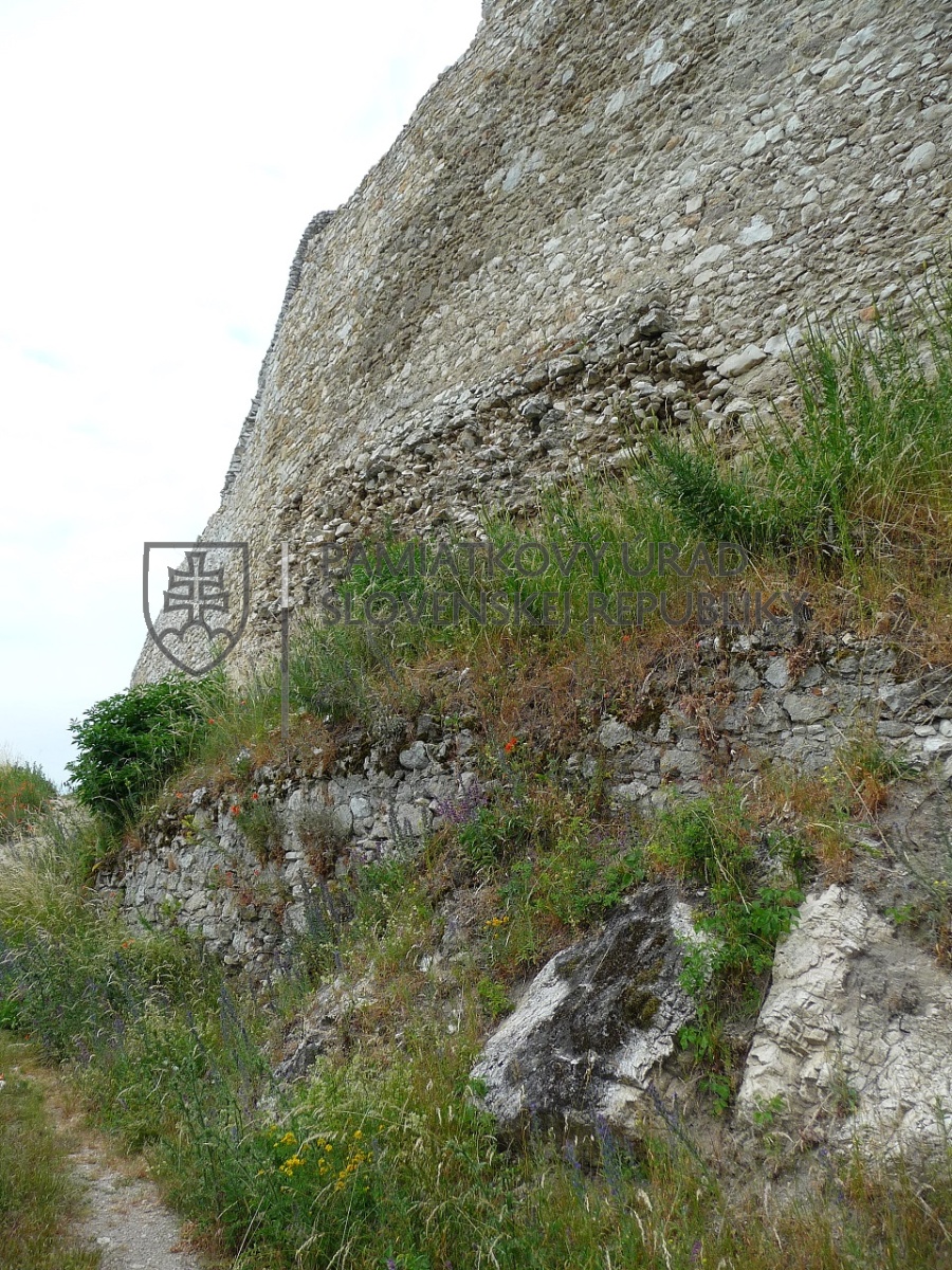 Identifikačná fotografia