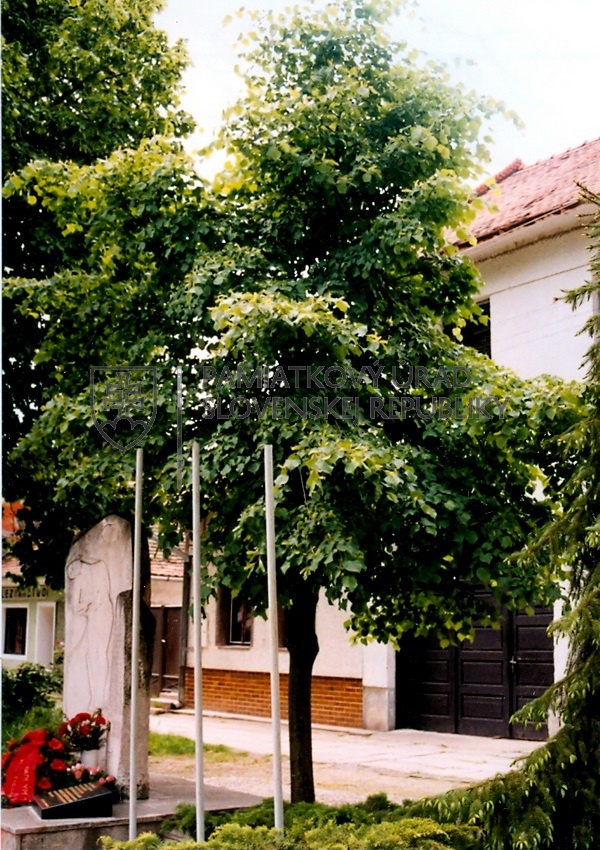 Identifikačná fotografia