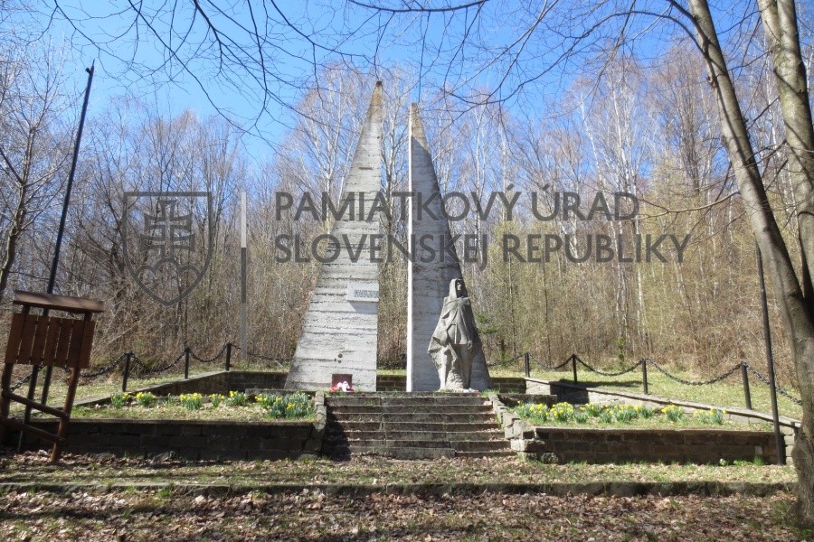 Identifikačná fotografia