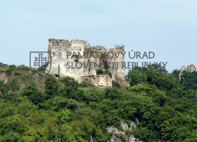 Identifikačná fotografia