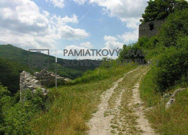 Identifikačná fotografia