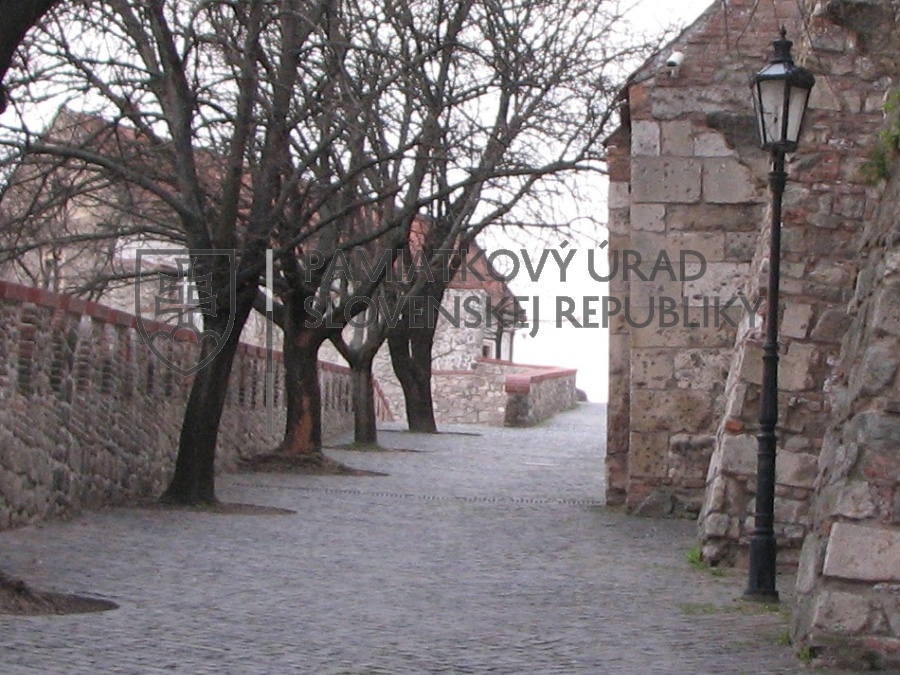Identifikačná fotografia