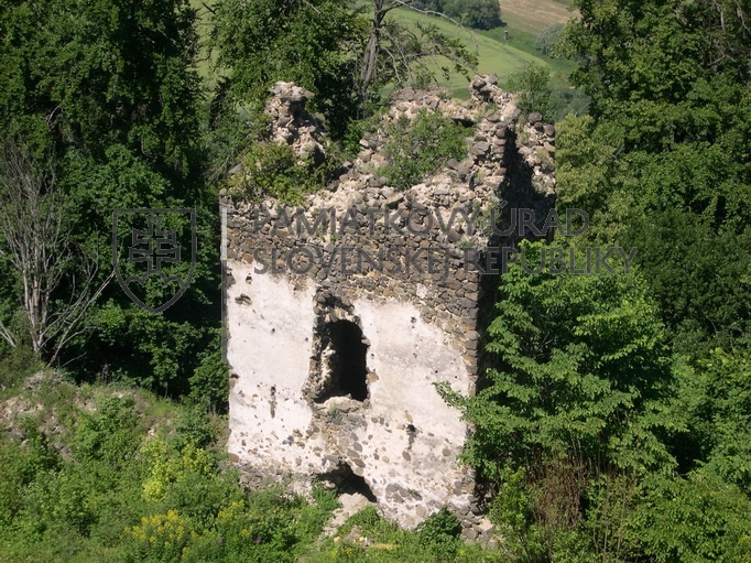 Identifikačná fotografia