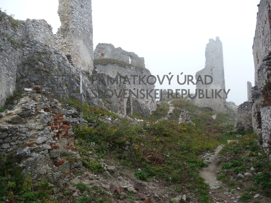 Identifikačná fotografia