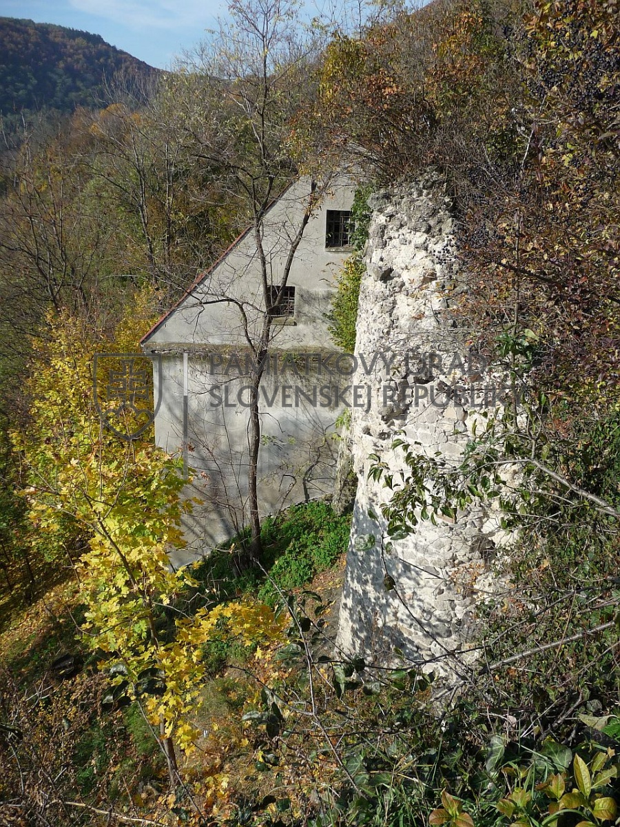 Identifikačná fotografia