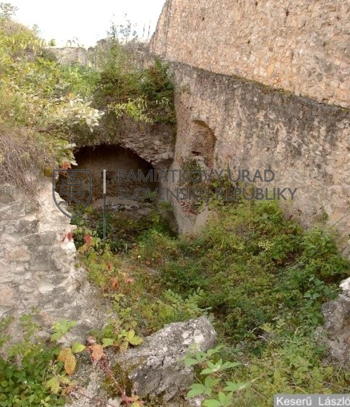 Identifikačná fotografia