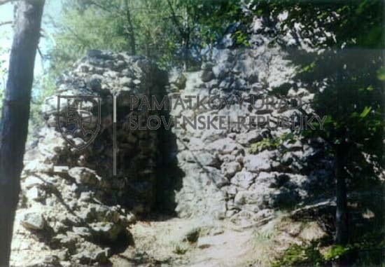 Identifikačná fotografia