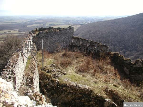 Identifikačná fotografia