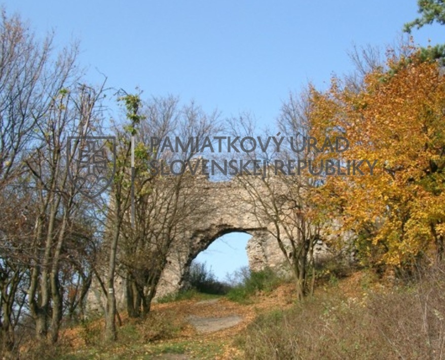 Identifikačná fotografia