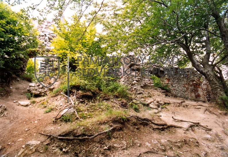 Identifikačná fotografia