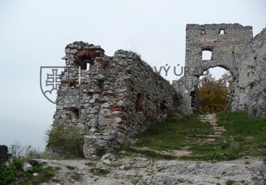Identifikačná fotografia