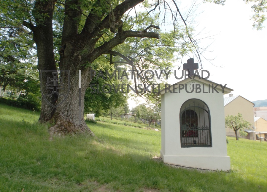 Identifikačná fotografia