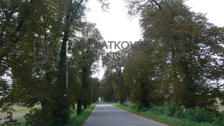 Identifikačná fotografia