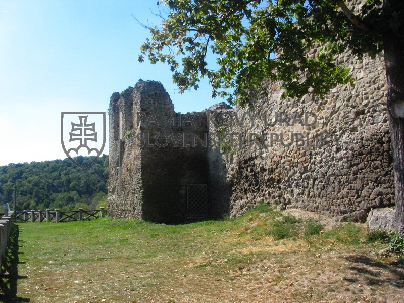 Identifikačná fotografia