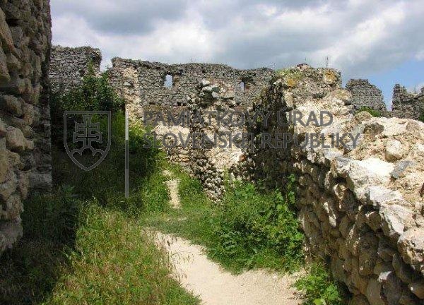 Identifikačná fotografia