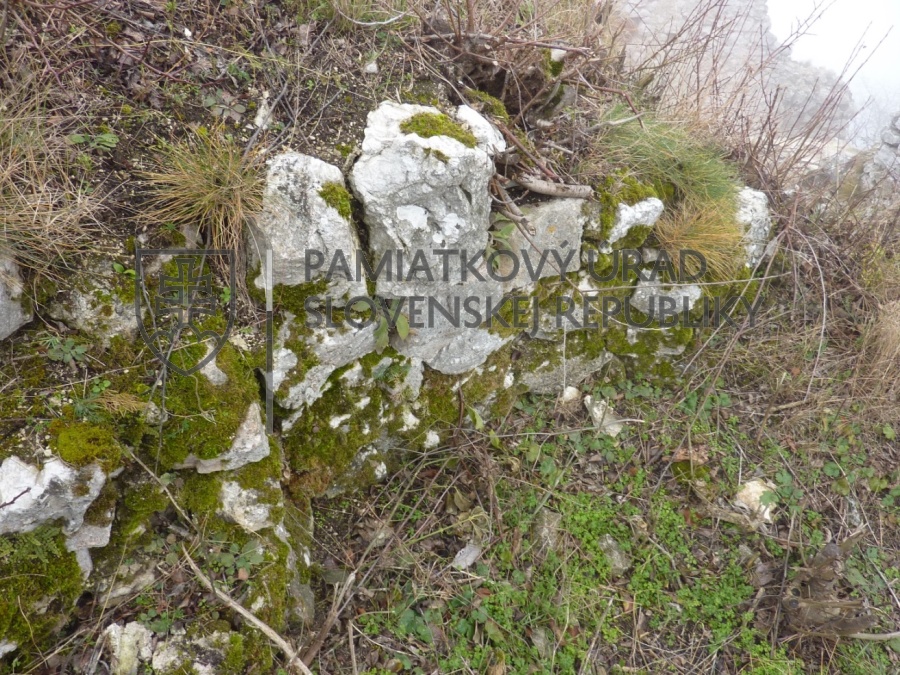 Identifikačná fotografia