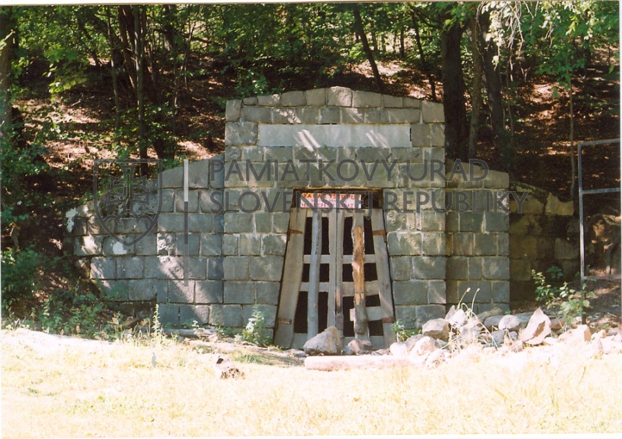 Identifikačná fotografia