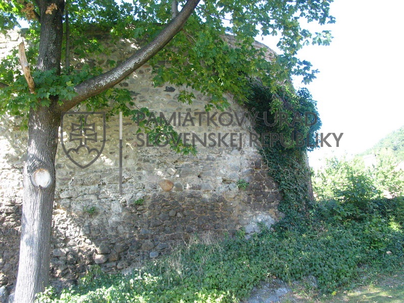 Identifikačná fotografia