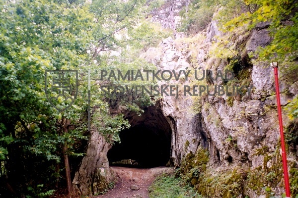 Identifikačná fotografia