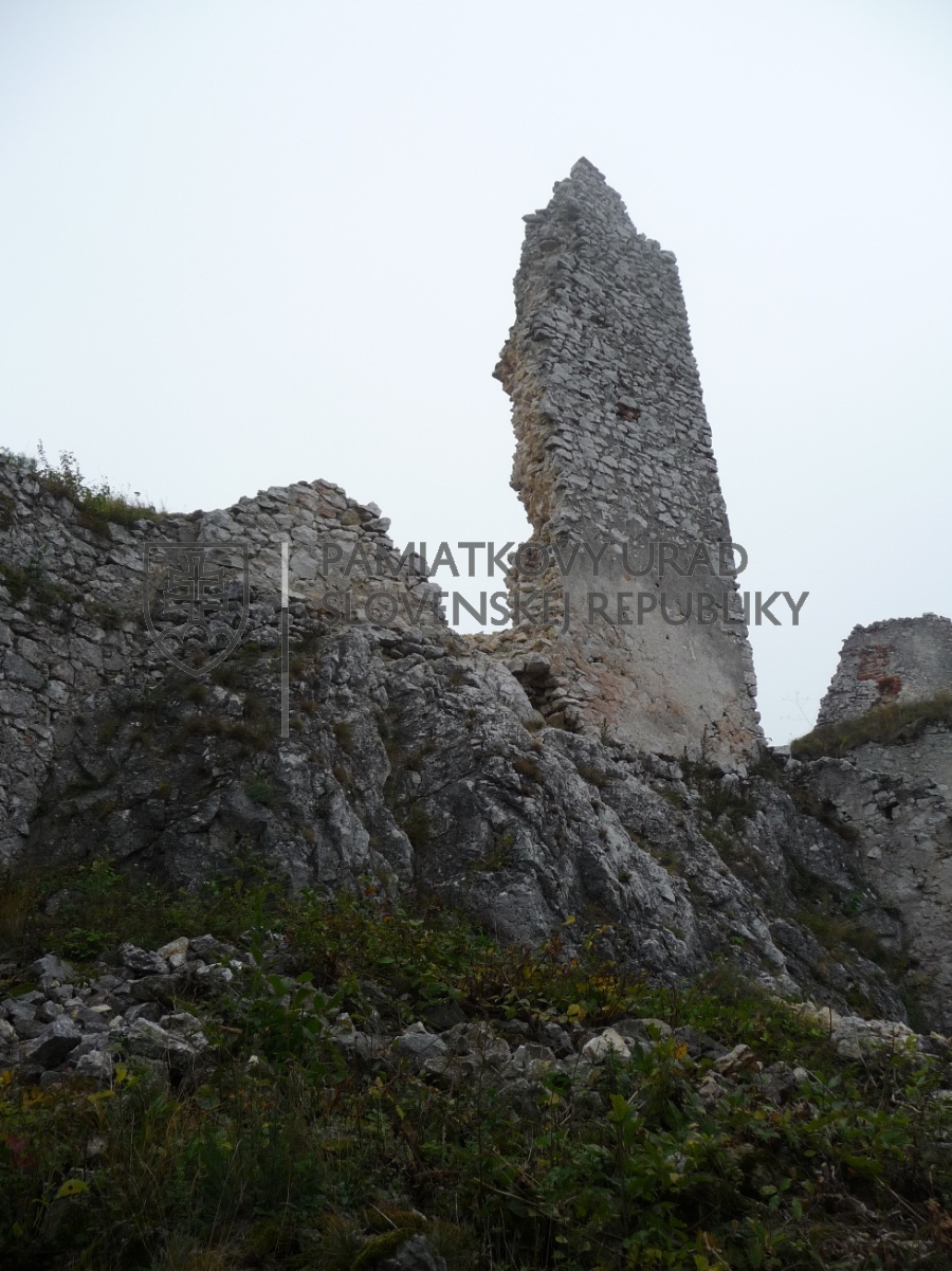 Identifikačná fotografia
