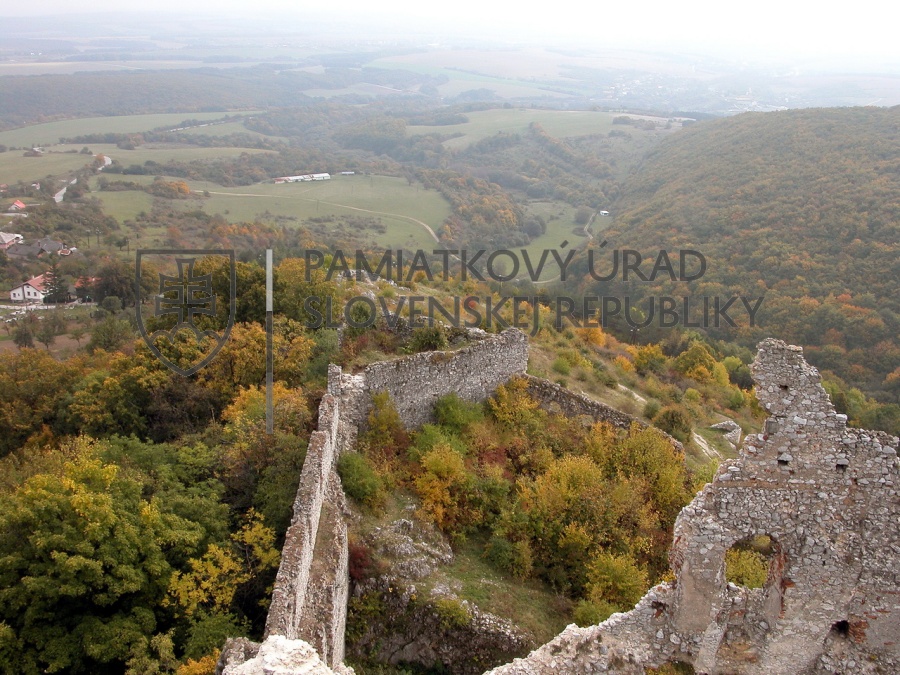 Identifikačná fotografia