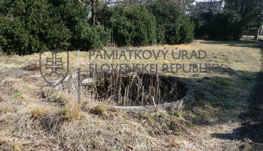 Identifikačná fotografia