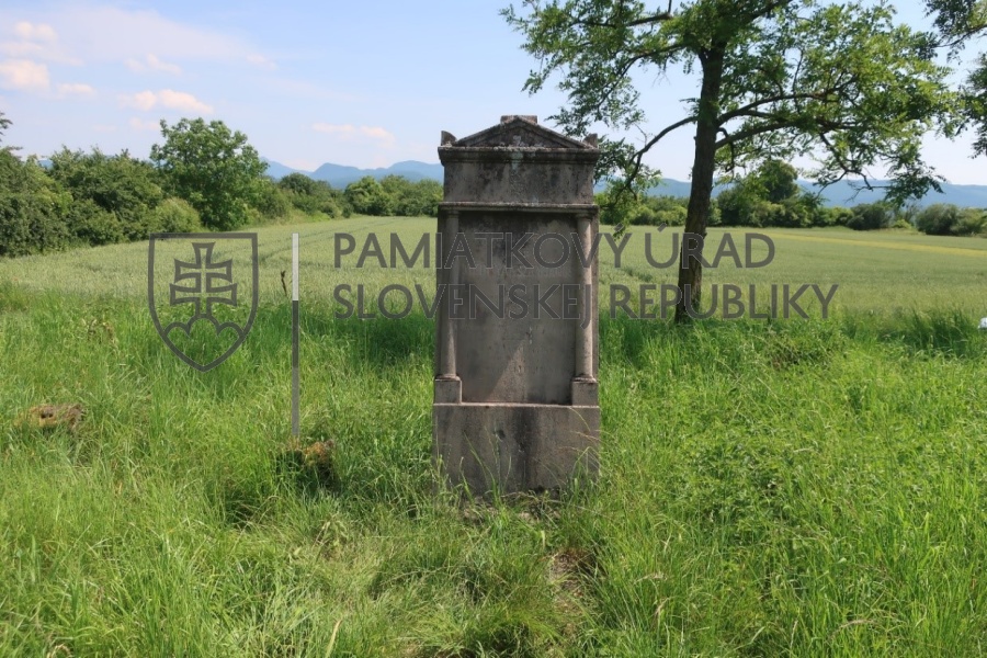 Identifikačná fotografia